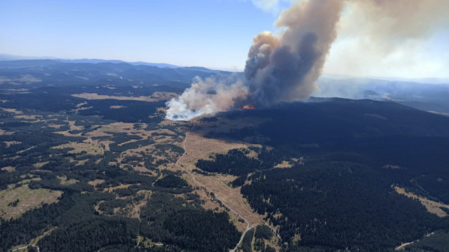 Dört şehirde birden orman yangını çıktı! Bolu, Ankara, İzmir ve Adana'daki yangınlar büyüyor - Resim: 0