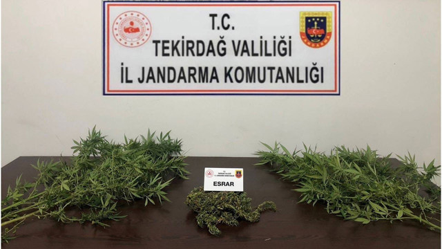 Tekirdağ'da uyuşturucu operasyonu! - Resim: 0