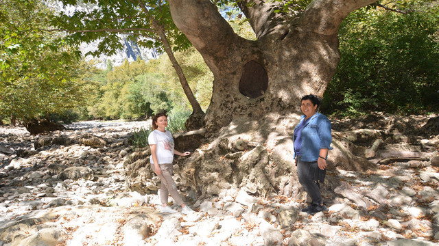 Antalya'da 2 büyük barajı besleyen ırmak kurudu! - Resim: 1