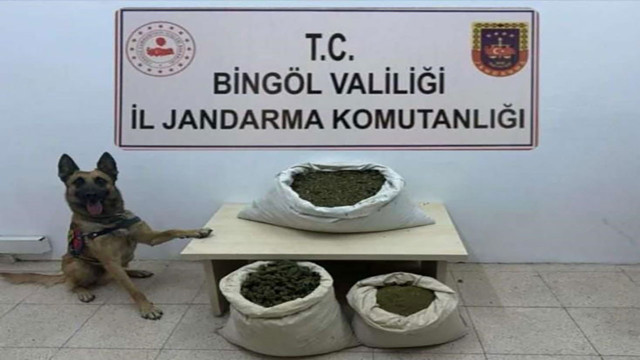 Bingöl'de Jandarmadan uyuşturucu operasyonu! 6 arazide uyuşturucu madde ele geçirildi - Resim: 0