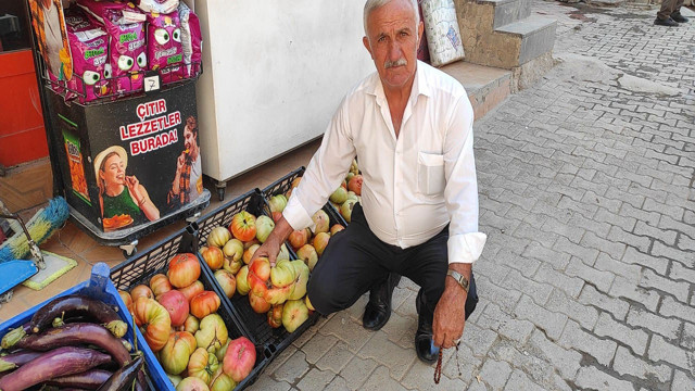 Bu domatesleri görenler gözlerine inanamıyor! Sadece Sason'da yetişiyor - Resim: 1