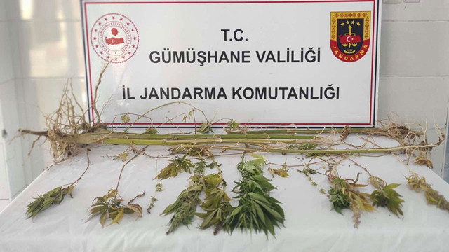 Gümüşhane'de Jandarma'dan uyuşturucu operasyonu! - Resim: 0