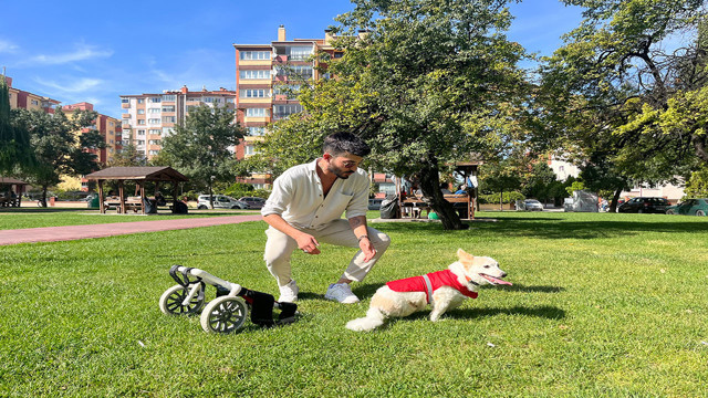 Felç kalan köpeğini emanet bildi, inançsızken Müslüman oldu! - Resim: 5