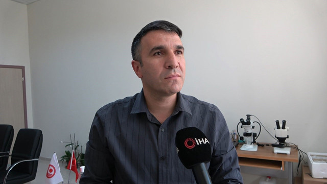 Son olarak Tokat'ta görülmüştü! O örümcekle ilgili zmanlardan vatandaşları rahatlatan açıklama - Resim: 1