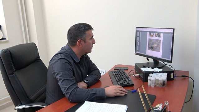 Son olarak Tokat'ta görülmüştü! O örümcekle ilgili zmanlardan vatandaşları rahatlatan açıklama - Resim: 3