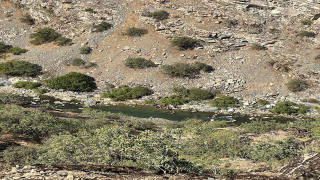 Arkadaşlarıyla çıktığı balık avı canından etti! - Resim: 0