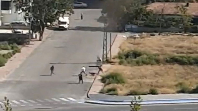 Kayseri'de sokak köpeği dehşet saçtı! 19 yaşındaki genç saldırıya uğradı - Resim: 0