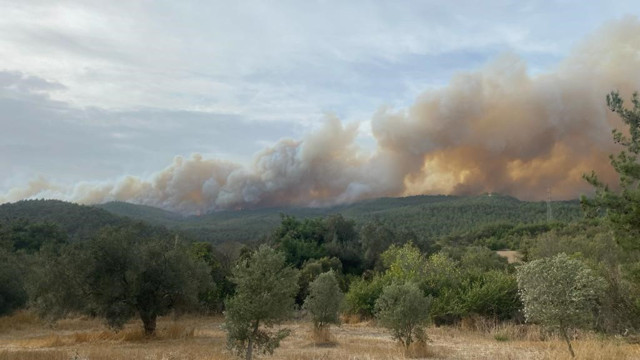 Muğla ve Çanakkale'de orman yangını çıktı! Rüzgarla birlikte alevler yayıldı - Resim: 0