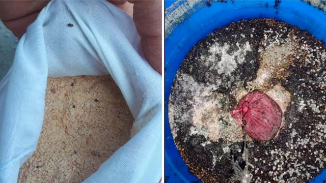 Bir dönem Özlem Öz'ün yanında çalıştı korkunç şeyler söyledi Özlem Özden iddialara yanıt - Resim: 2