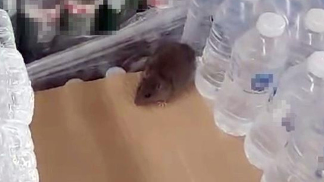 BİM'de mide bulandıran görüntü! Vatandaş şok oldu - Resim: 1