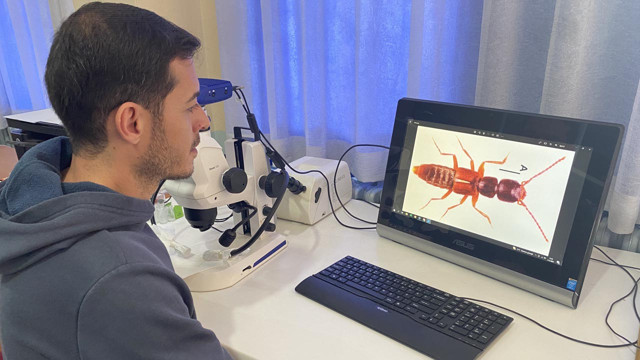 Sivas'taki Yıldız Dağları'nda yeni bir böcek türü keşfedildi - Resim: 0