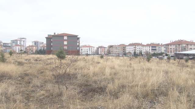 Bakan Yerlikaya açıkladı! Ankara'daki başıboş köpek dehşetiyle ilgili soruşturma başlatıldı - Resim: 2