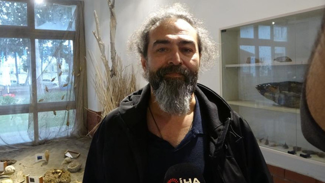 20 günde 2 köpek balığı kıyıya vurdu, uzmanın açıklamaları hem düşündürdü hem rahatlattı - Resim: 1