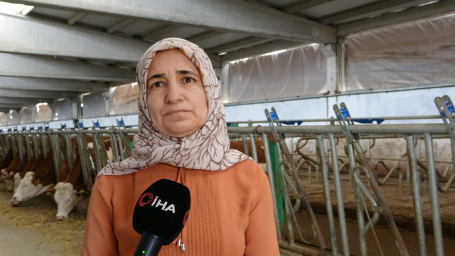Devlet desteğiyle kurduğu tesiste günlük 700 litre süt üretiyor - Resim: 0
