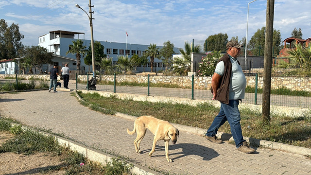 Küçük kız okul bahçesinde köpeğin saldırısına uğradı: Evden çıkmak istemiyor - Resim: 1