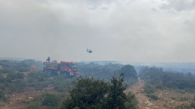 Aydın'da orman yangınına müdahale eden uçak göle sert iniş yaptı - Resim: 0