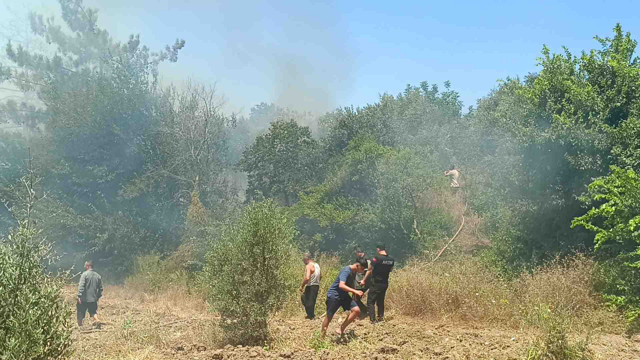 Adana'da çıkan anız yangını zeytinlik ve ormanlık alana sıçradı - Resim: 1