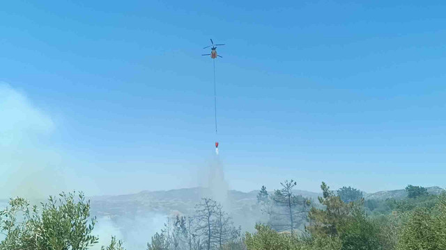 Adana'da çıkan anız yangını zeytinlik ve ormanlık alana sıçradı - Resim: 2