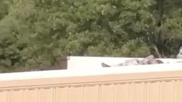 Trump'a suikast girişiminde bulunan Crooks ile ilgili detaylar: Kayıtlı Cumhuriyetçi olduğu ortaya çıktı - Resim: 1