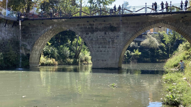 Bartın Irmağı'ndaki balık ölümlerine ilişkin inceleme başlatıldı - Resim: 1