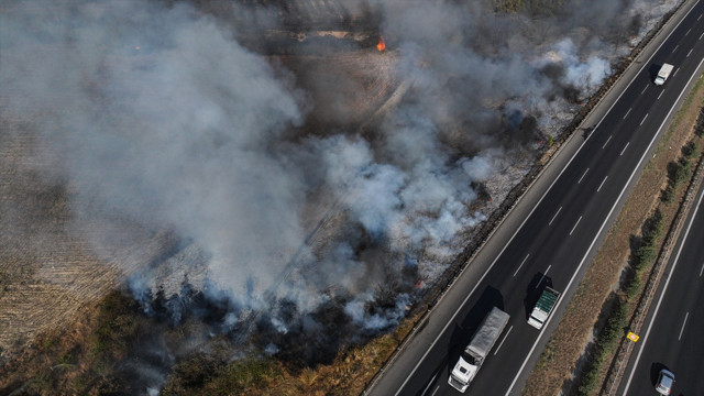 Adana'da yol kenarındaki ağaçlık alanda yangın - Resim: 1