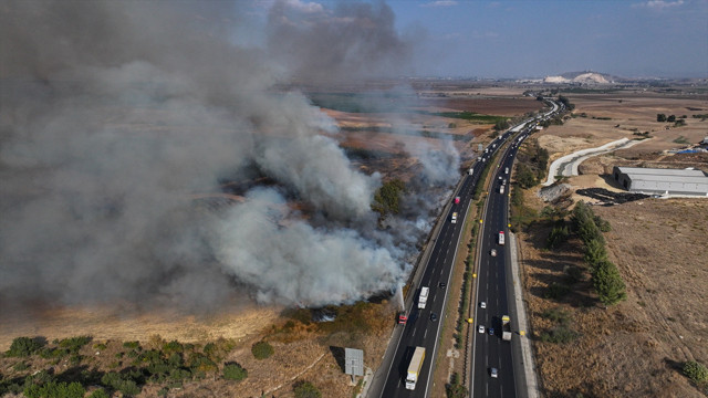 Adana'da yol kenarındaki ağaçlık alanda yangın - Resim: 0