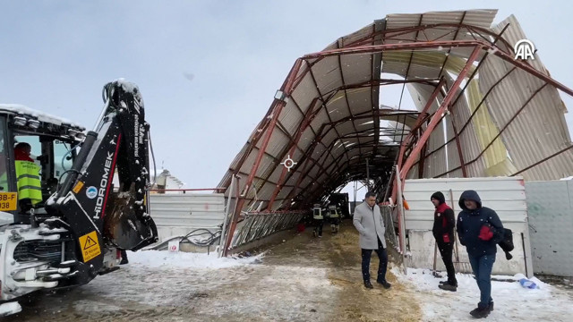 Kayseri'de çatısı çöken ahırdaki 30 büyükbaş hayvan telef oldu - Resim: 0