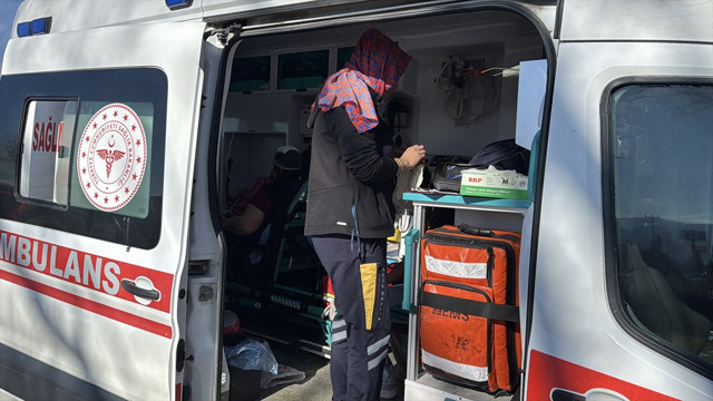 Kütahya'da sahipsiz köpeklerin saldırısına uğrayan anne ve kızı yaralandı - Resim: 0