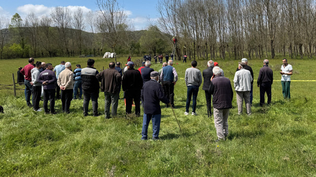 Bartın'da yaşlı adam ağaç üzerindeyken hayatını kaybetti - Resim: 1