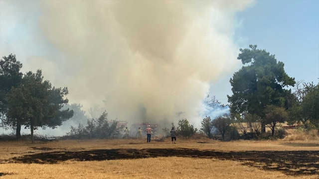 Çanakkale'deki orman yangını kontrol altında - Resim: 2