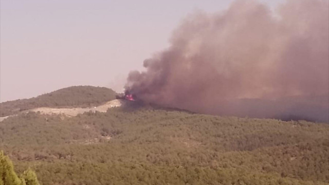 Bursa'da çıkan orman yangınına müdahale ediliyor - Resim: 0
