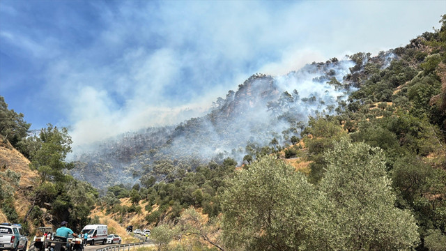 Alevler ormana sıçradı! Çok rüzgar var, ekipler bölgede... - Resim: 0