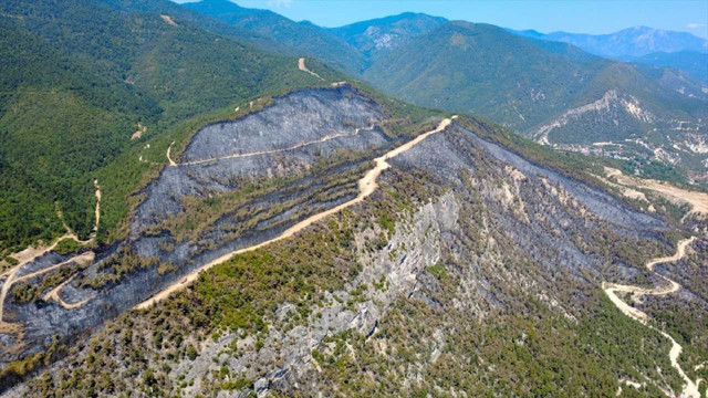 Çanakkale'de çıkan orman yangınları kontrol altına alındı - Resim: 1