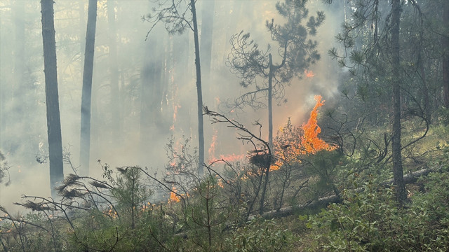 Bartın'da ormanlık alanda yangın! Validen açıklama - Resim: 1