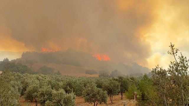 Bakan Yumaklı'dan orman yangınları hakkında yeni açıklama - Resim: 3