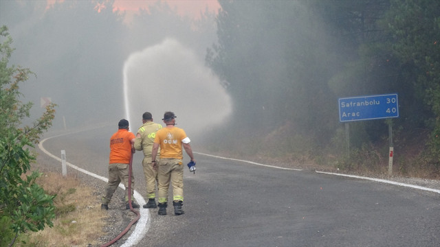 Bakan Yumaklı'dan orman yangınları hakkında yeni açıklama - Resim: 0