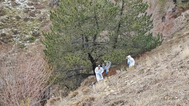 Çorum'u sarsan kesik baş haberi! Katil tanıdık çıktı kayıp kafa bakın nerede bulundu - Resim: 3