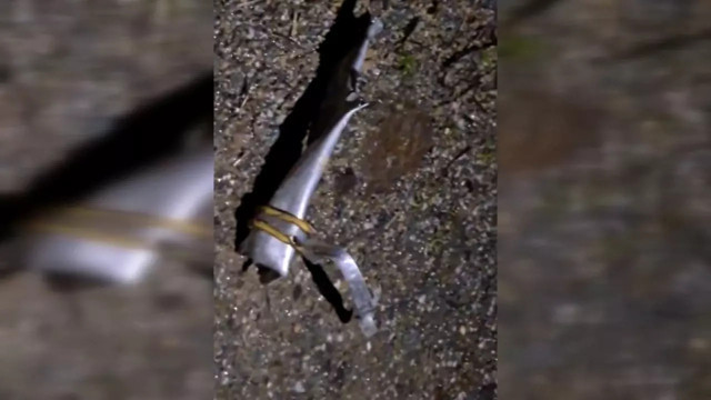 Balıkesir'de F-16 düştü! Acı haber: 1 şehit - Resim: 0