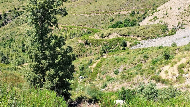 Antalya'da facia! Uçuruma yuvarlanan otomobildeki 5 kişi yaşamını yitirdi - Resim: 1