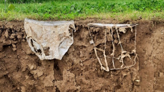 2 bin iç çamaşırı toprağa gömüldü! Nedeni şaşkına çevirdi - Resim: 0