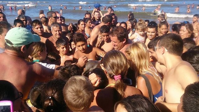 Selfie çektikleri yunusu öldürdüler - Resim: 1