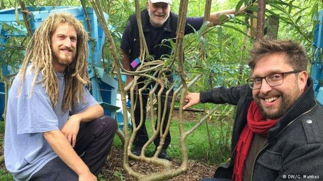 Dünyanın en tuhaf meslekleri - Resim: 2