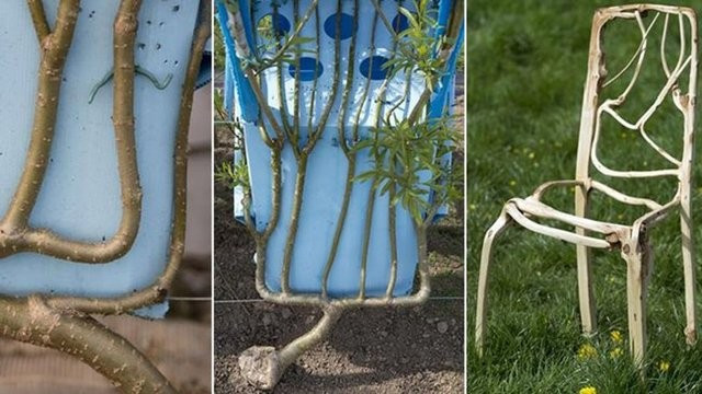 Dünyanın en tuhaf meslekleri - Resim: 4