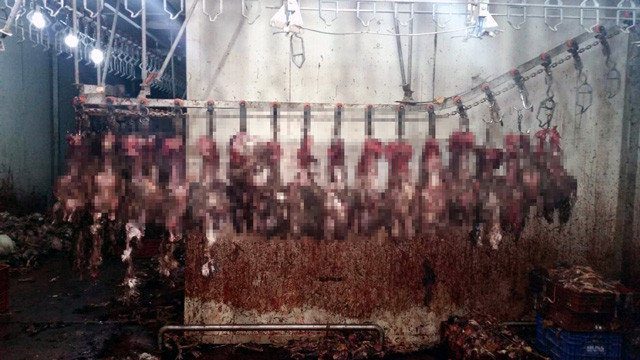 Adana'da skandal görüntüler zabıta görünce şoke oldu - Resim: 1