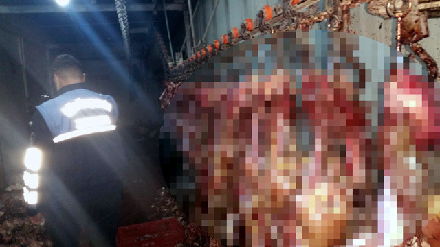 Adana'da skandal görüntüler zabıta görünce şoke oldu - Resim: 3