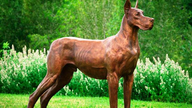 Dünyanın en tehlikeli 15 köpek ırkı - Resim: 3