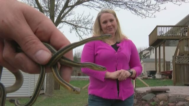 Yıllarca emek verip bir ev aldı taşındıktan 1 saat sonra pişman oldu - Resim: 4