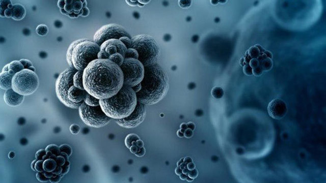 OECD korkutan rakamı açıkladı! En riskli ülke Türkiye - Resim: 1