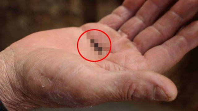 10 gün önce Hatay'da ortaya çıktı! Evleri istila etti, halk tedirgin... - Resim: 1