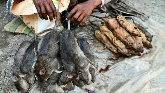 Pazarın en gözde ürünü! Pişmiş fare eti - Resim: 2